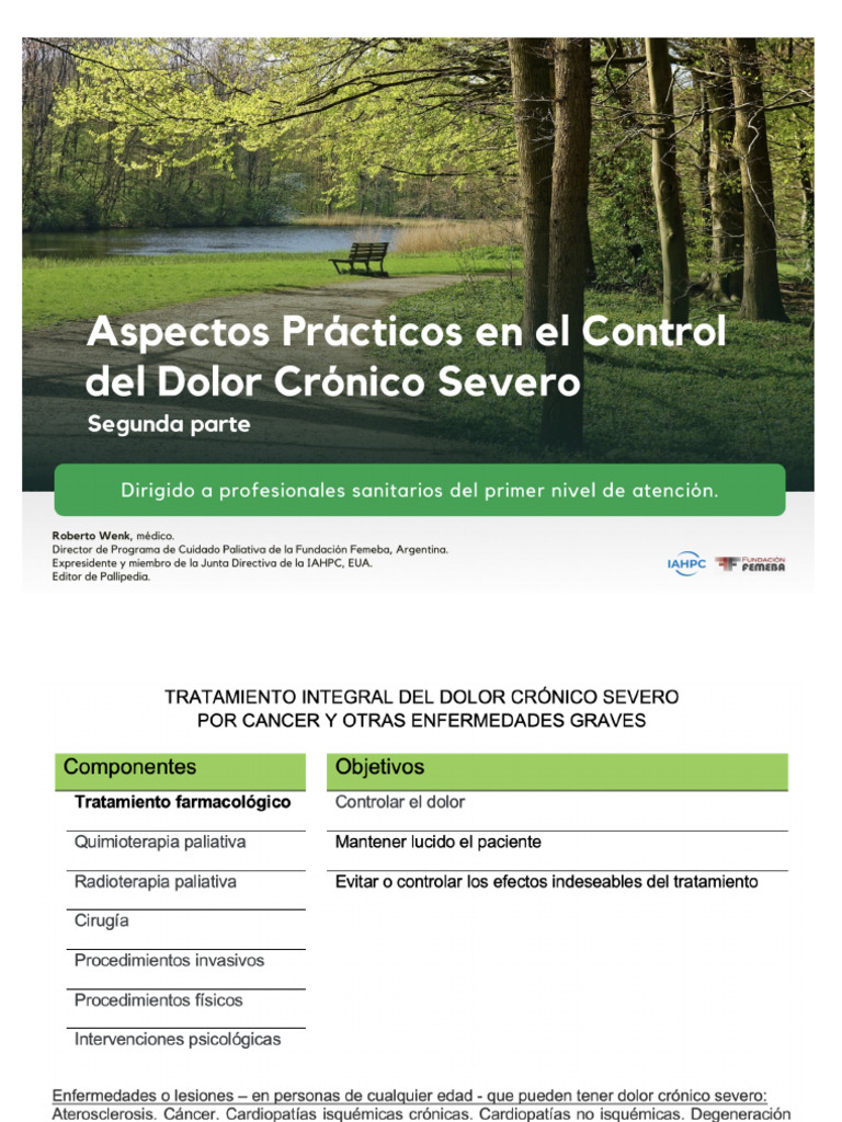 Aspectos Practicos en El Control Del Dolor Cronico Severo Segunda Parte ...