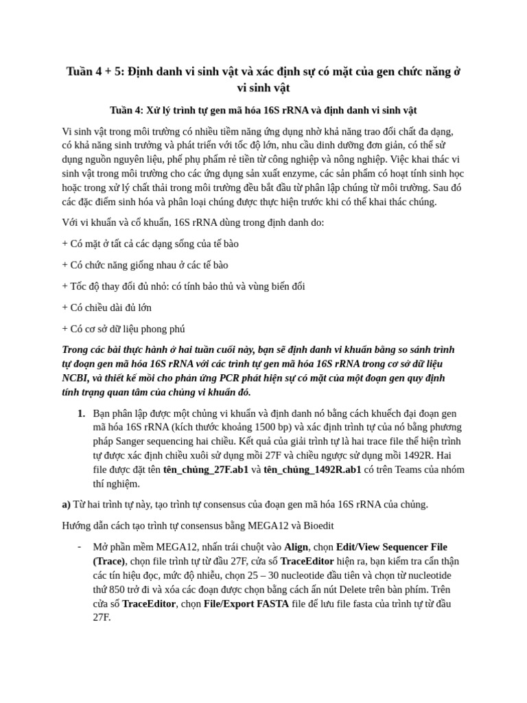 Exercise Week 4 | PDF