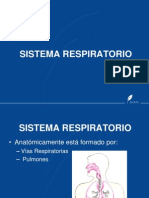 Unidad 01 - Sistema Respiratorio