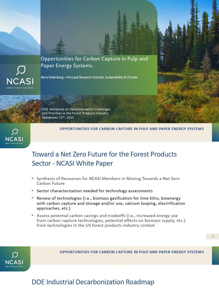 Low Carbon Energy Sources-Barry Malmberg-NCASI 1 | PDF | Carbon Capture ...
