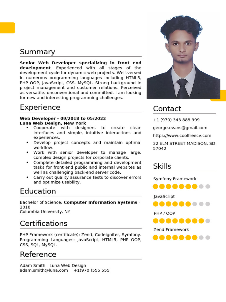 Senior Web Developer Profile | PDF
