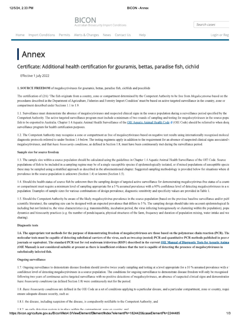 Bicon | PDF
