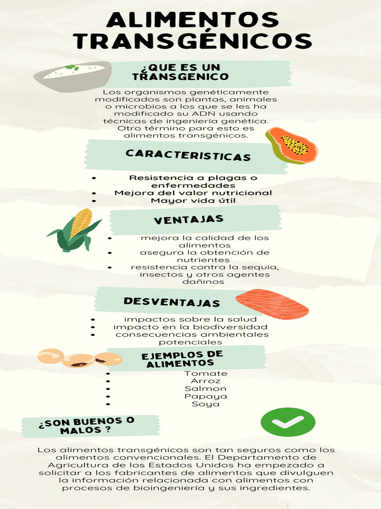 Infografía sobre alimentos transgénicos | PDF