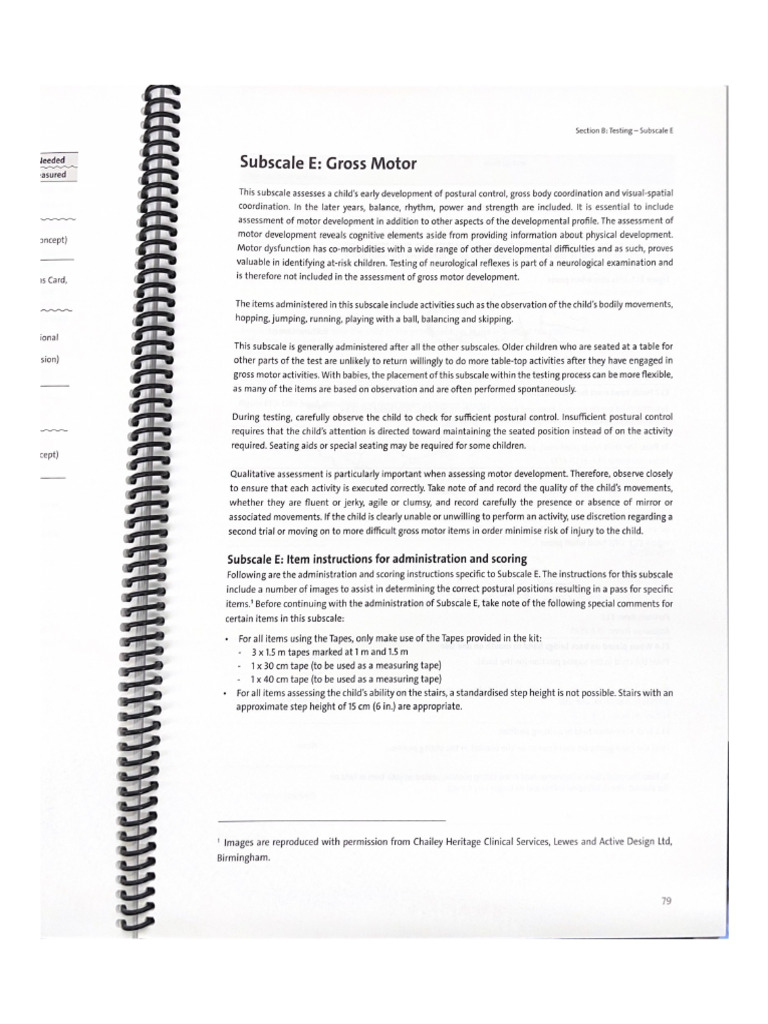 Griffiths III Subscale E | PDF