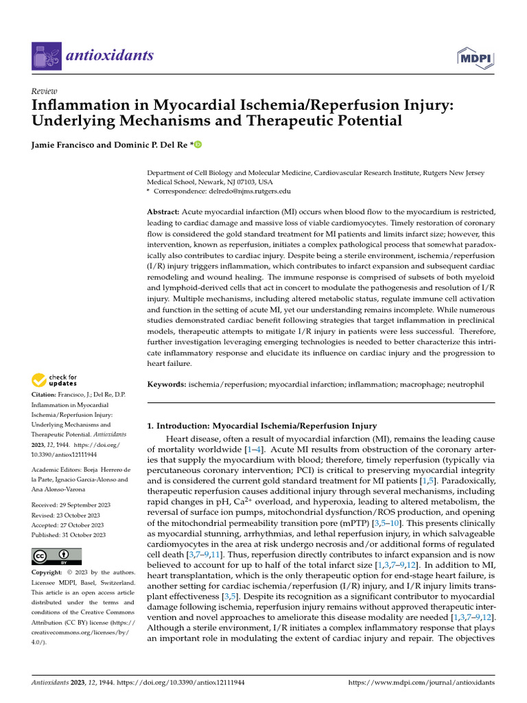 ischemia reperfusion | PDF | Inflammation | Macrophage