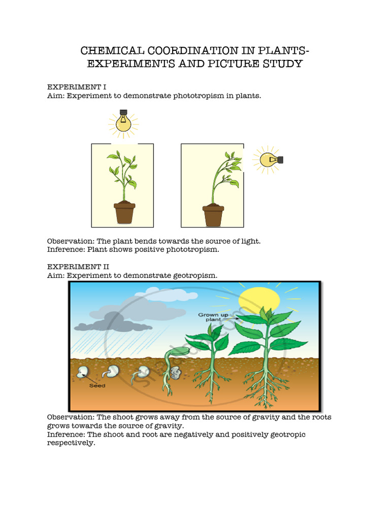 Chemical Coordination - Experiments and Picture Study | PDF