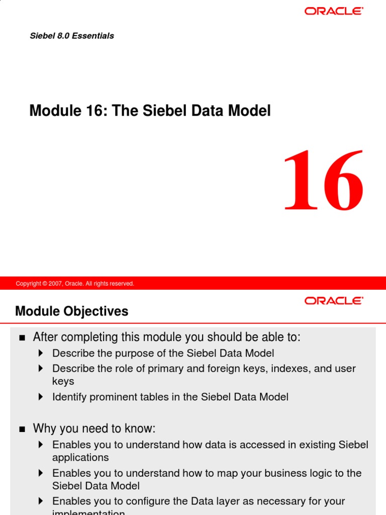 16 The Siebel Data Model | PDF | Relational Database | Database Index