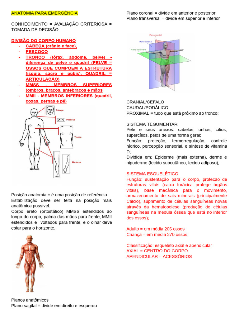 Anatomia Humana para Emergências Médicas | PDF | Respiração | Coração