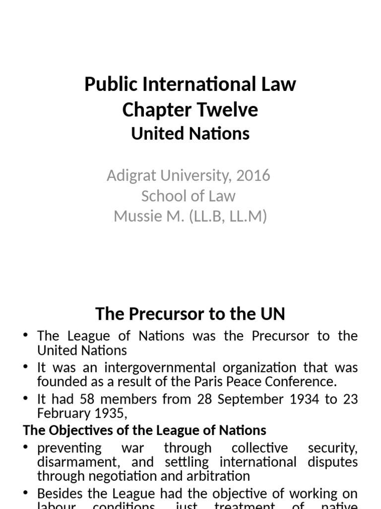 12 Chapter Twelve United Nations | PDF | United Nations | International ...