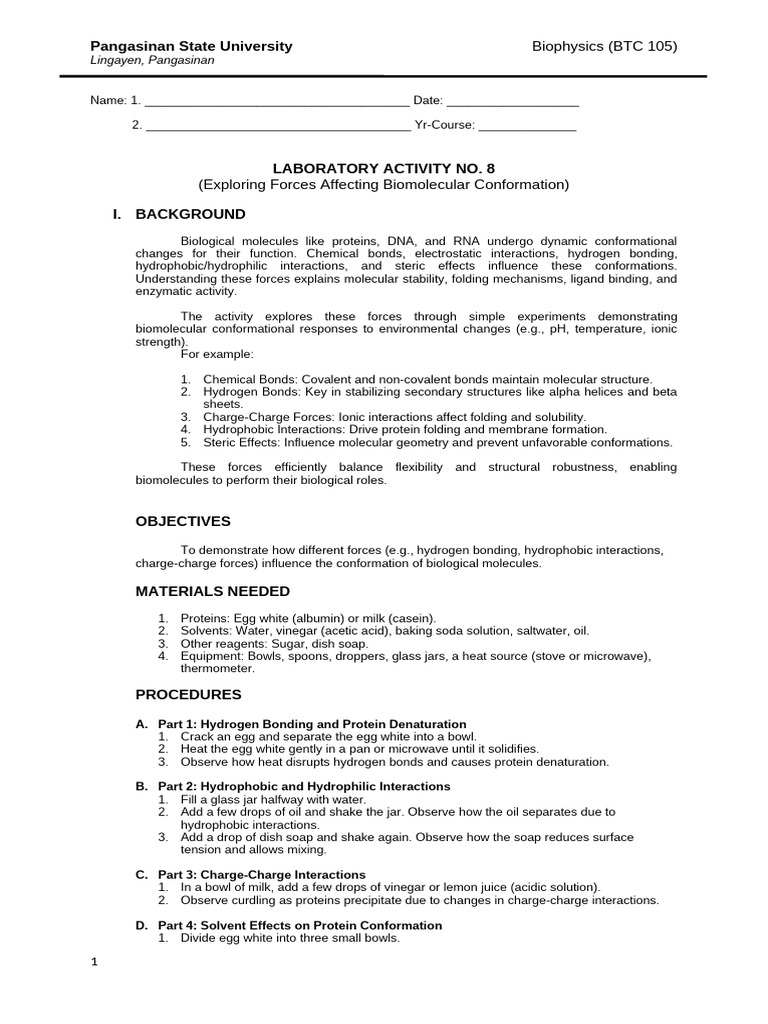Biophysics Lab Activity 8 | PDF | Biomolecules | Protein Structure