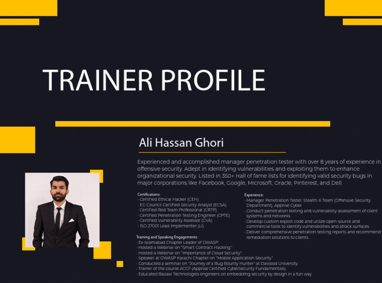 Azure Penetration Testing Expert Profile | PDF