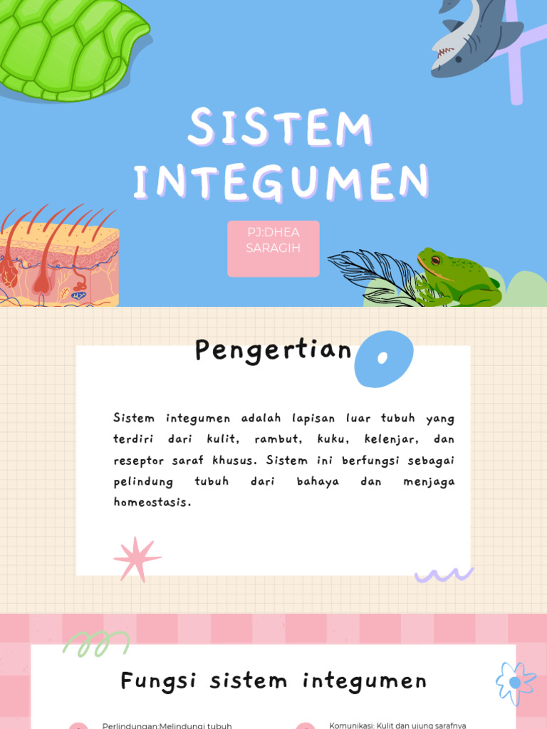 Fungsi dan Struktur Sistem Integumen | PDF