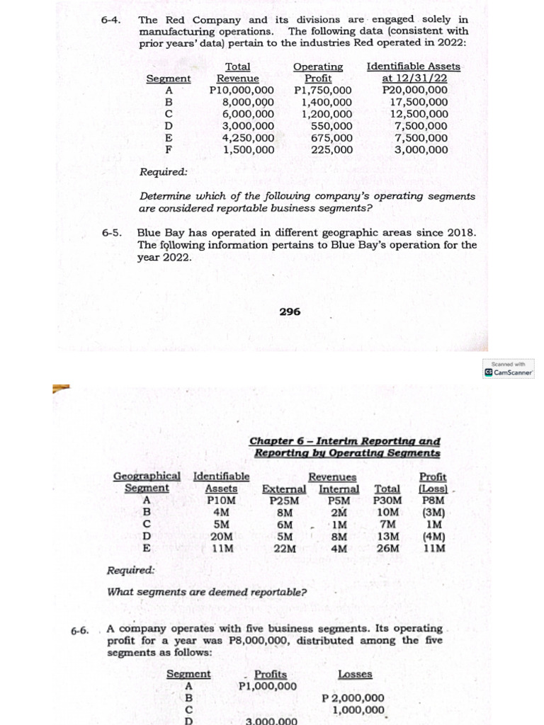 Operating Segment Seatwork | PDF