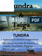 Tundra e Taiga