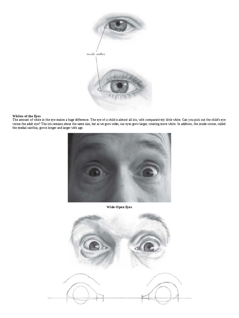 201 - PDFsam - The Big Book of Realistic Drawing Secrets Easy ...