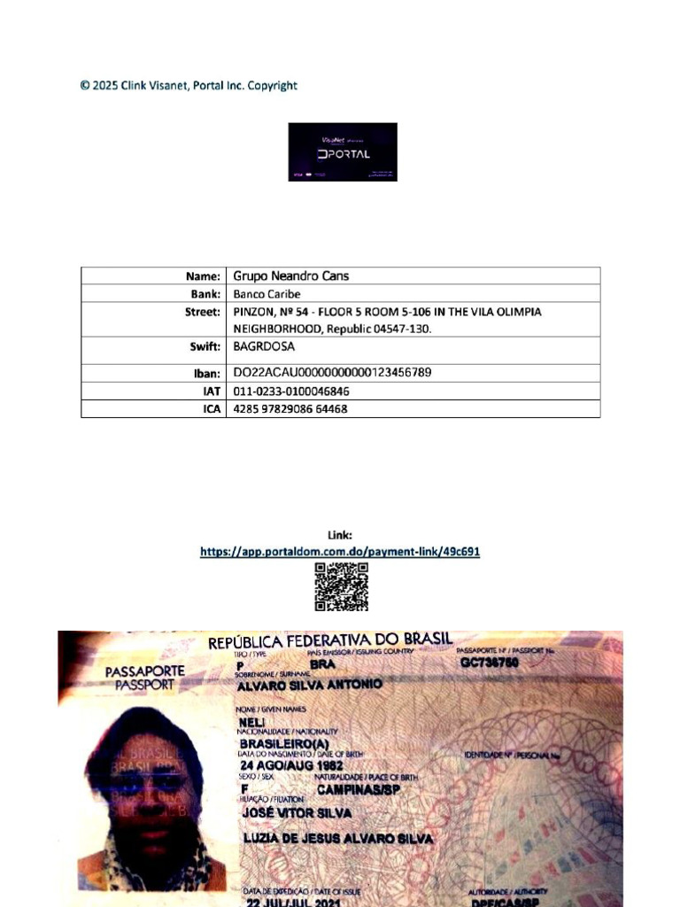 Visanet Cis | PDF