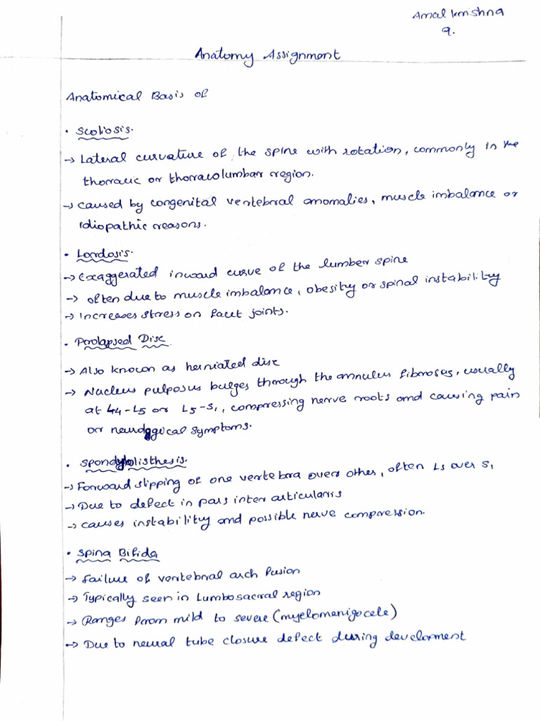 Assignment 13 | PDF