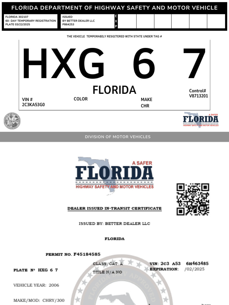 Florida Temporary Vehicle Registration Sample | PDF
