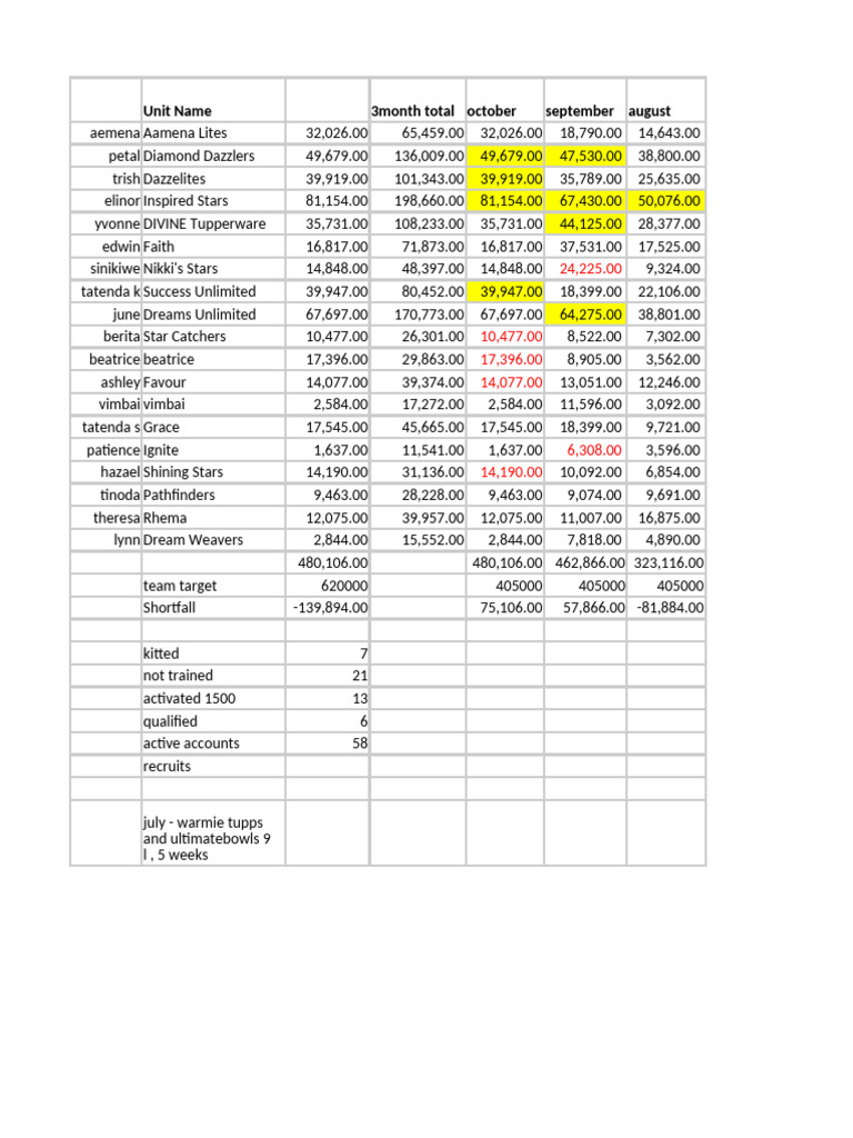 Monthly Performance Report Summary | PDF
