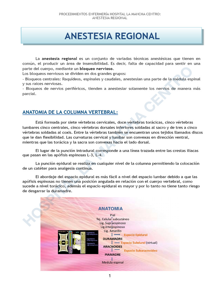 Anestesia Regional | PDF | Vértebra | Especialidades Medicas