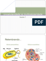 Aula 2 - Unicelularidade Vs Multicelularidade