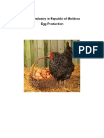 Poultry Industry in Moldova
