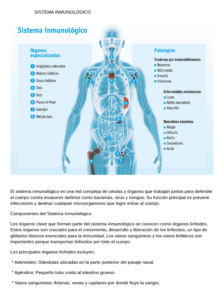 Sistema Inmunológico | PDF | Sistema inmune | Infección