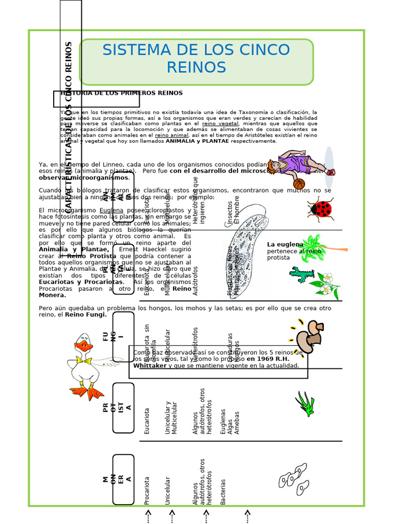Reinos de Los Seres Vivos para 1ro Sec 2025 | PDF | Plantas | Organismos