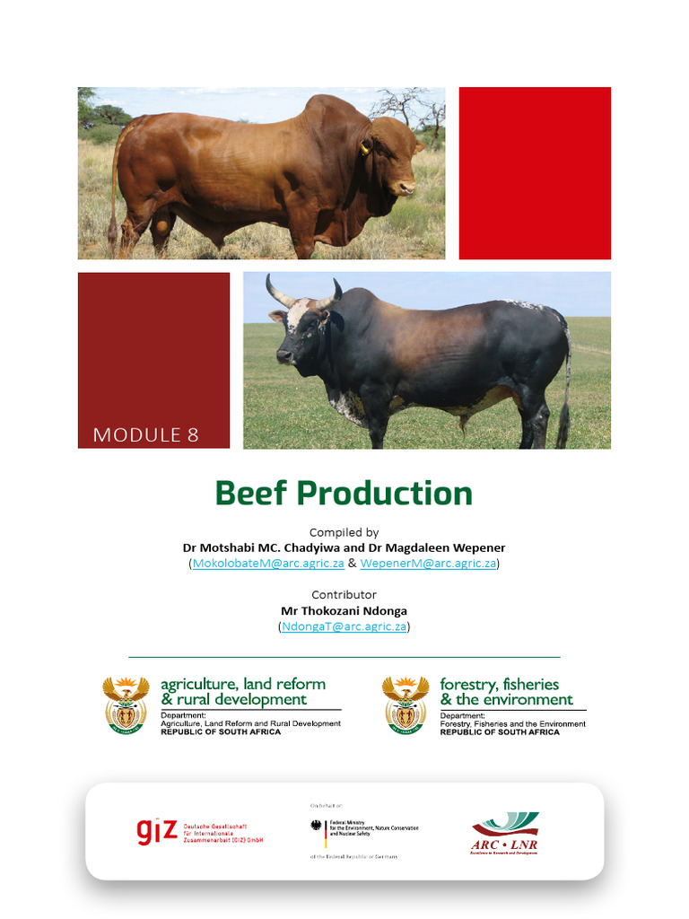 Climate-Smart Beef Production Guide | PDF | Agriculture | Food Security