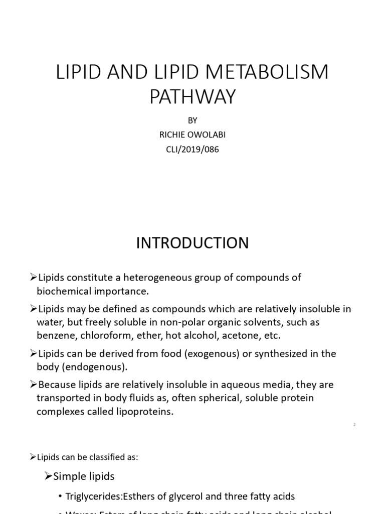 Lipid Metabolism Pathways Overview | PDF | Lipoprotein | Lipid