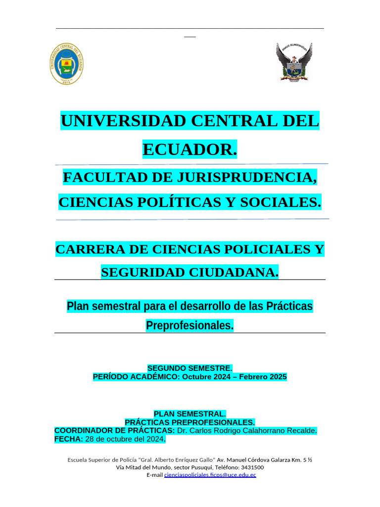 PLAN SEMESTRAL PPP SEGUNDO SEMESTRE 26dd | PDF | Policía | Valores