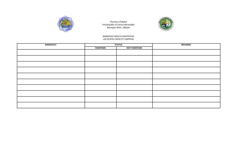 Bohol Barangay Health Mapping Report | PDF