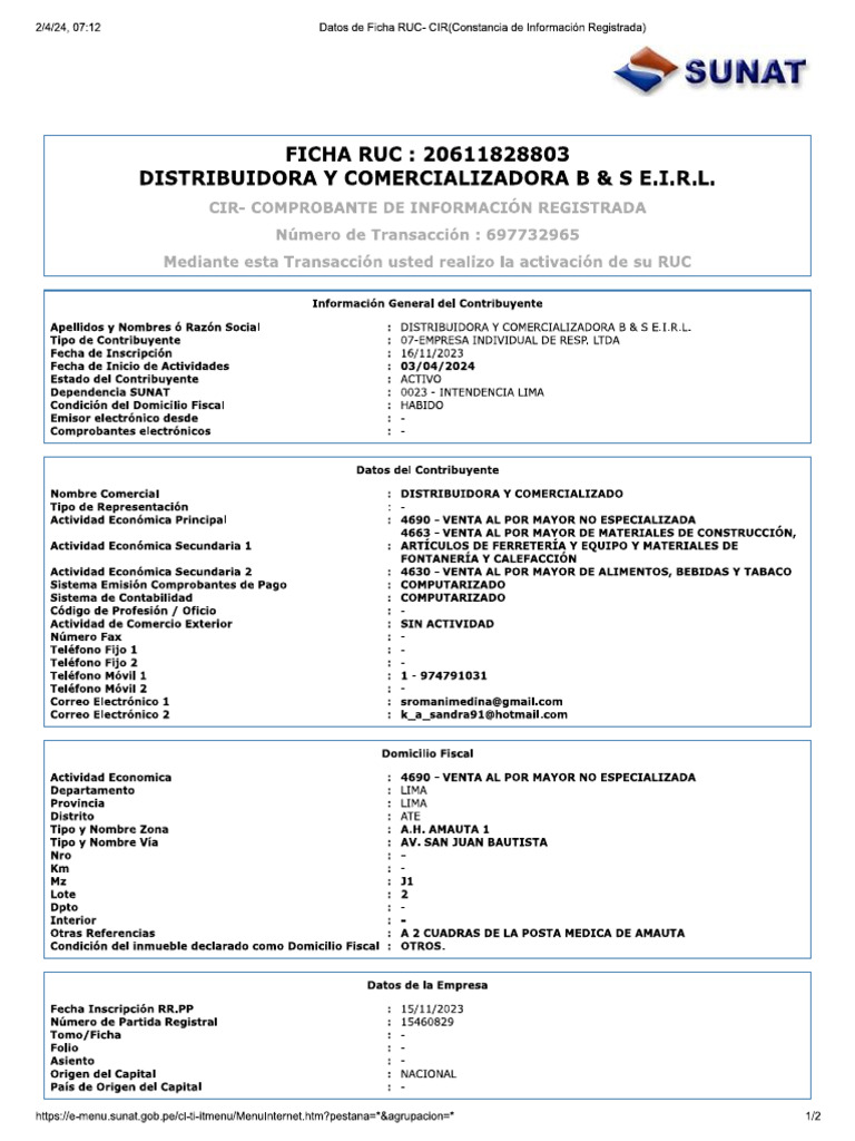 Ficha Ruc | PDF