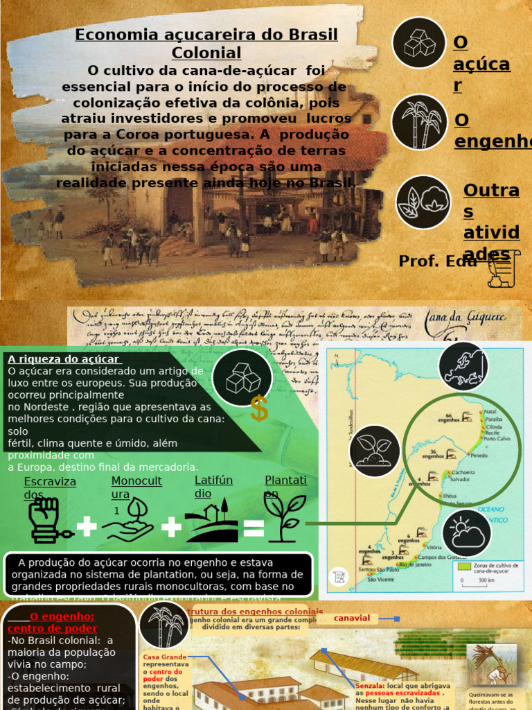 Economia Açucareira e Brasil Colonial | PDF | Escravidão | Cana de açúcar