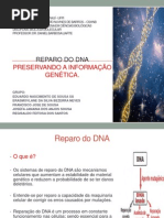 biomol reparo