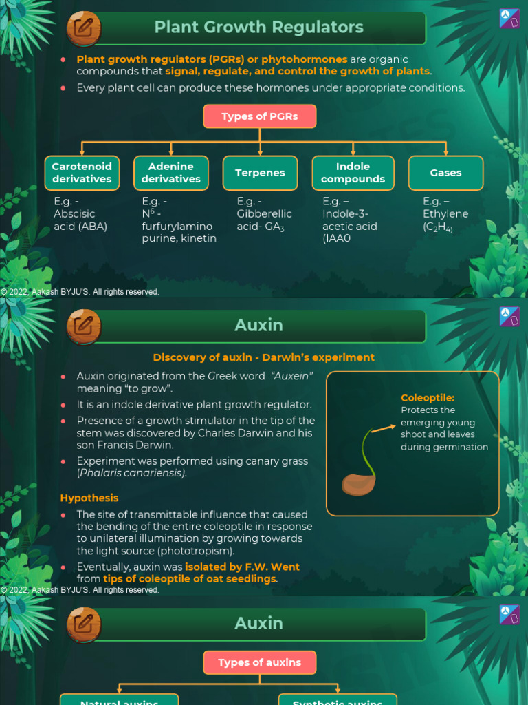 Plant Growth and Development | PDF | Seed | Auxin