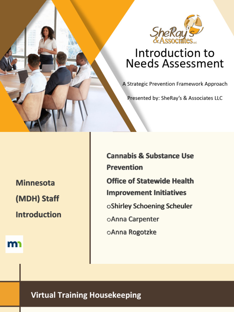 State of MN Needs Assessment 2025 Raylette Johnson 5 21 25 7 | PDF ...