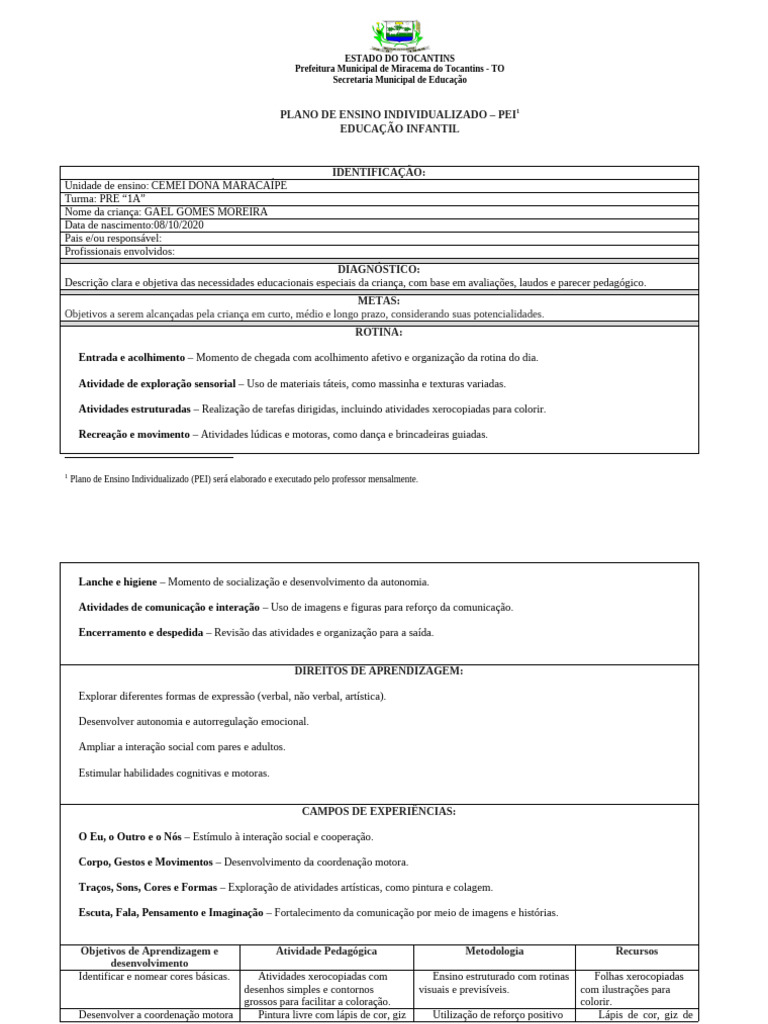 Plano de Ensino Individualizado na Educação Infantil | PDF ...