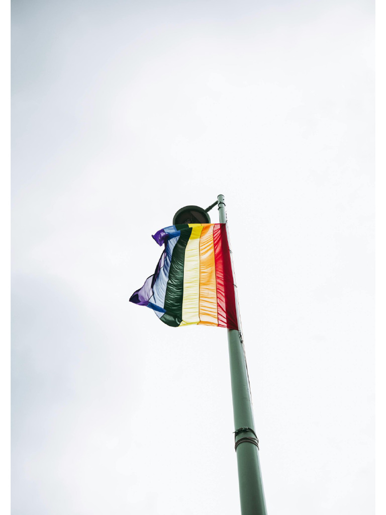 Pride | PDF