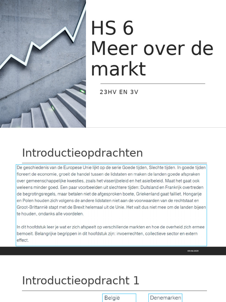 HS 6 Meer Over de Markt (VWO) | PDF