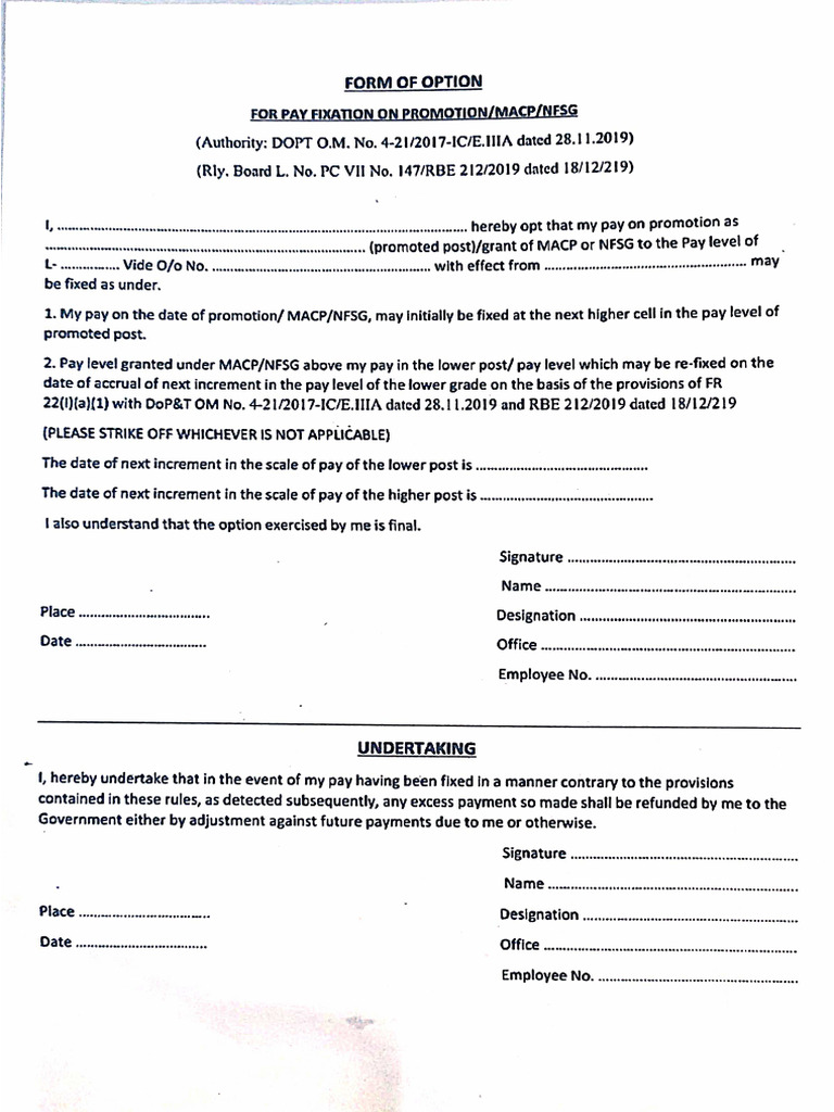 Option Form | PDF