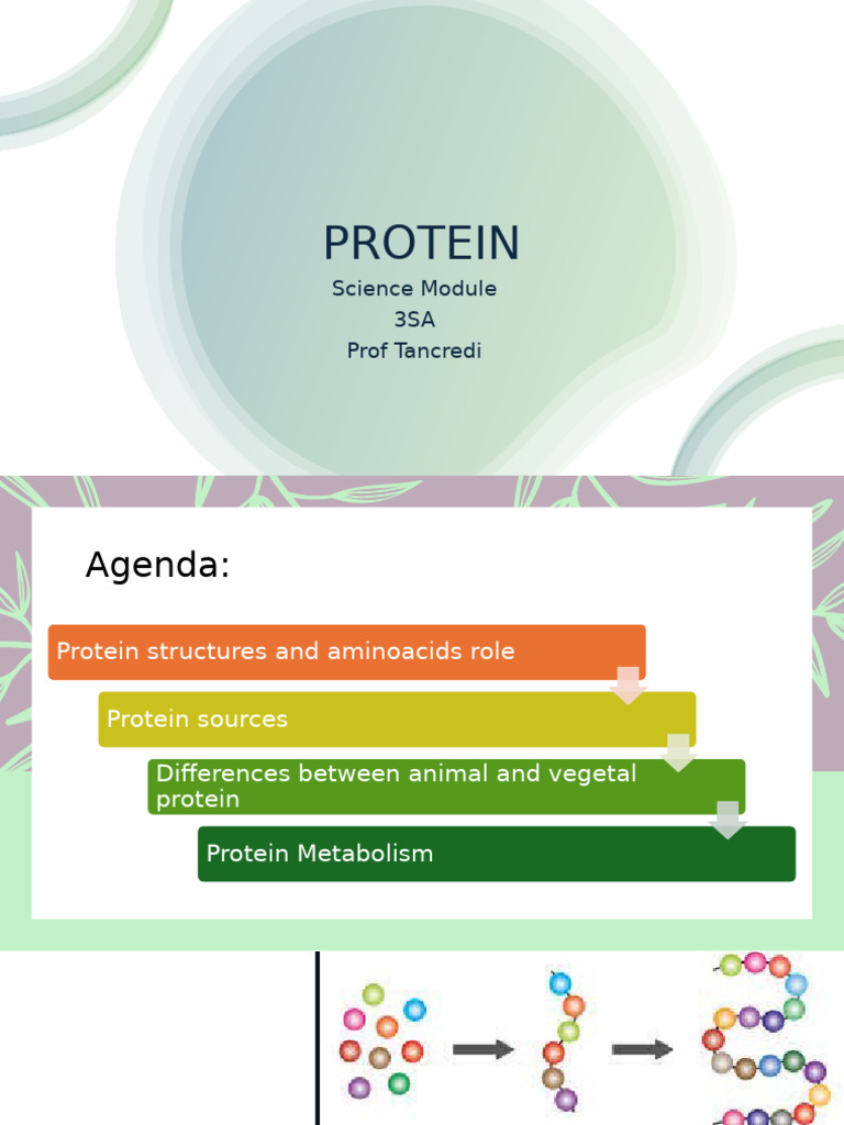 Understanding Protein Structures and Metabolism | PDF | Amino Acid ...
