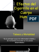 Efectos Del Cigarrillo