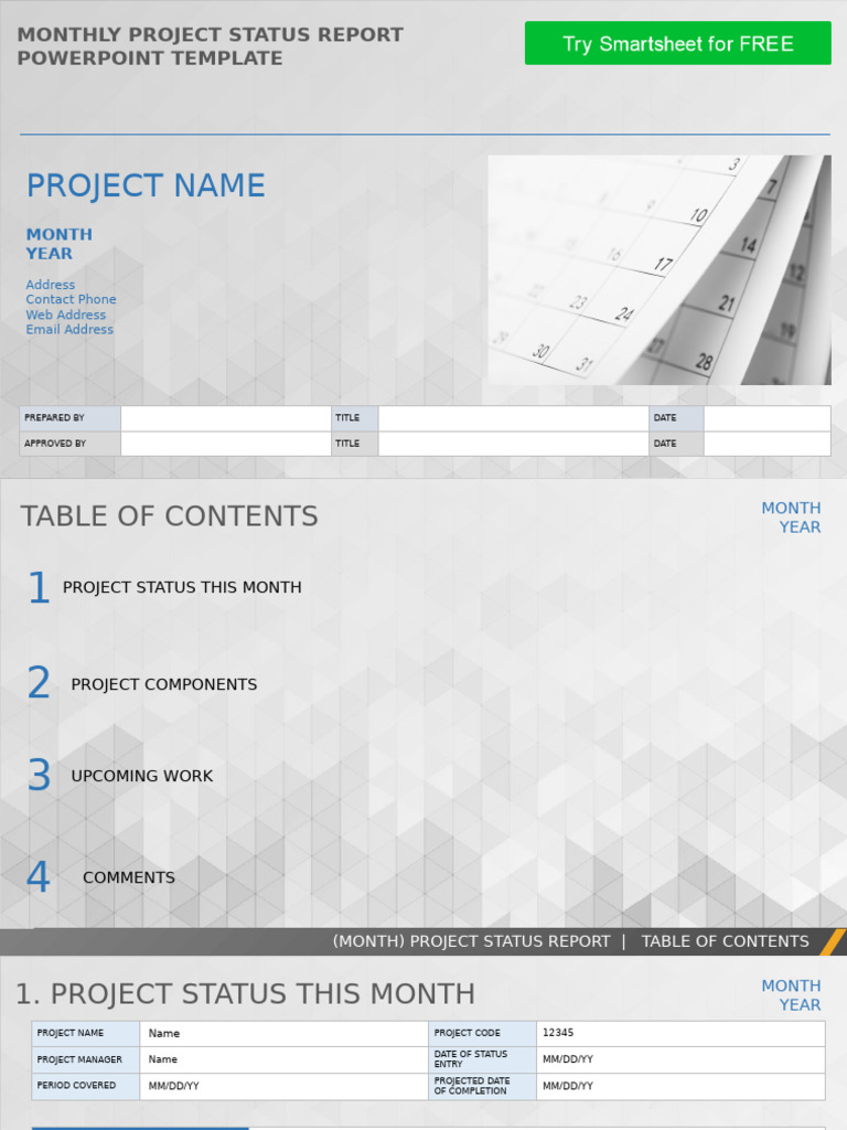 Monthly Project Status Report Template | PDF | Computing