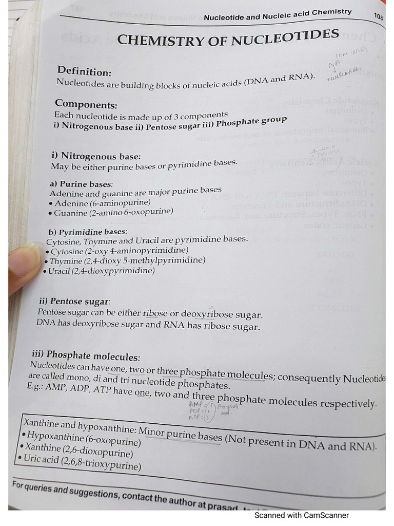 Nucleic Acid Chemistry | PDF