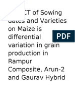 Effect of Sowing Dates and Varieties on Maize