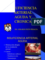 Insuficiencia Arterial Aguda y Crónica