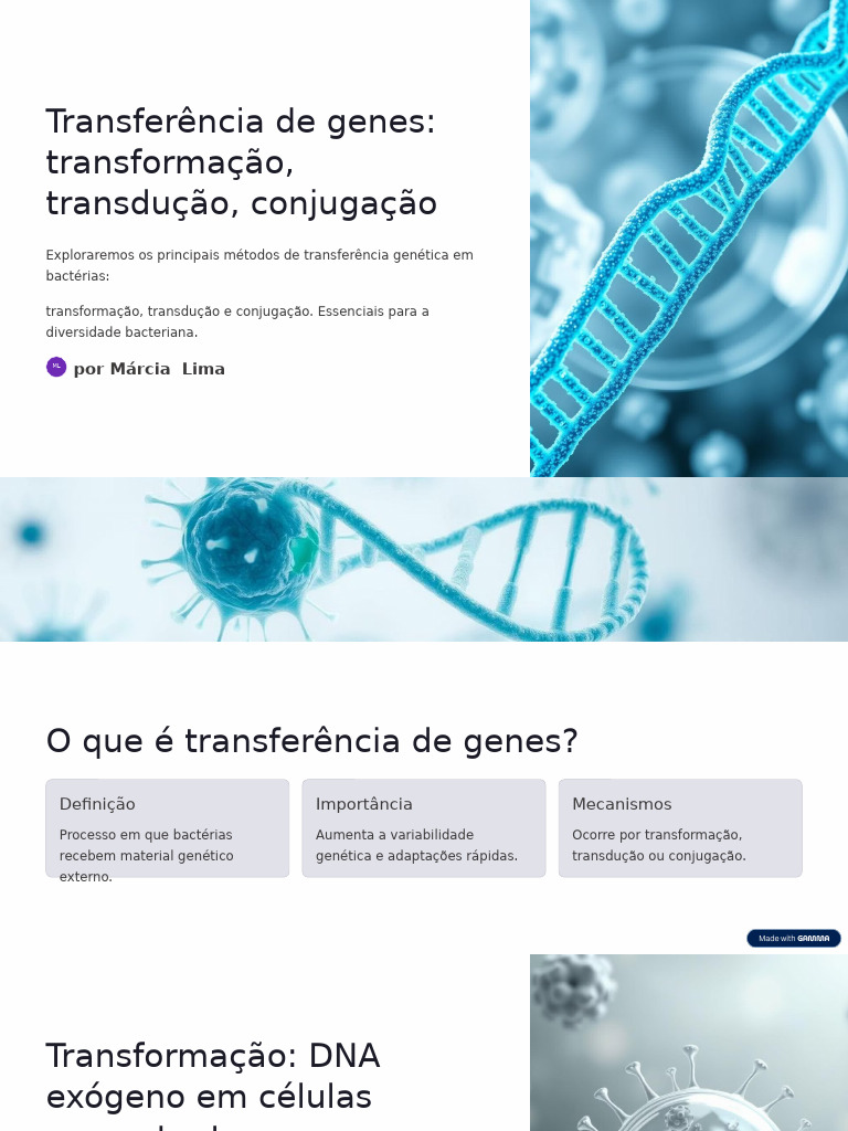Transferencia de Genes Transformacao Transducao Conjugacao | PDF