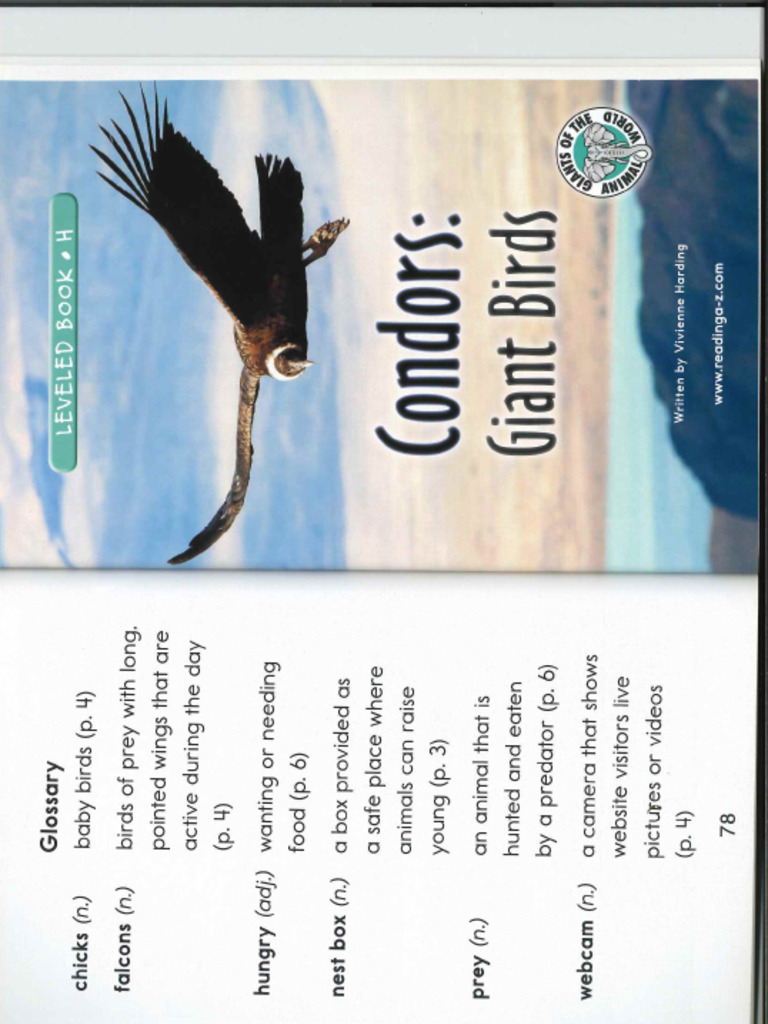 Condors | PDF