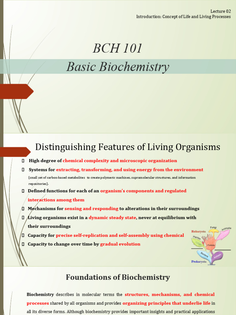 BCH 101: Introduction to Biochemistry | PDF | Cell (Biology) | Cytoskeleton